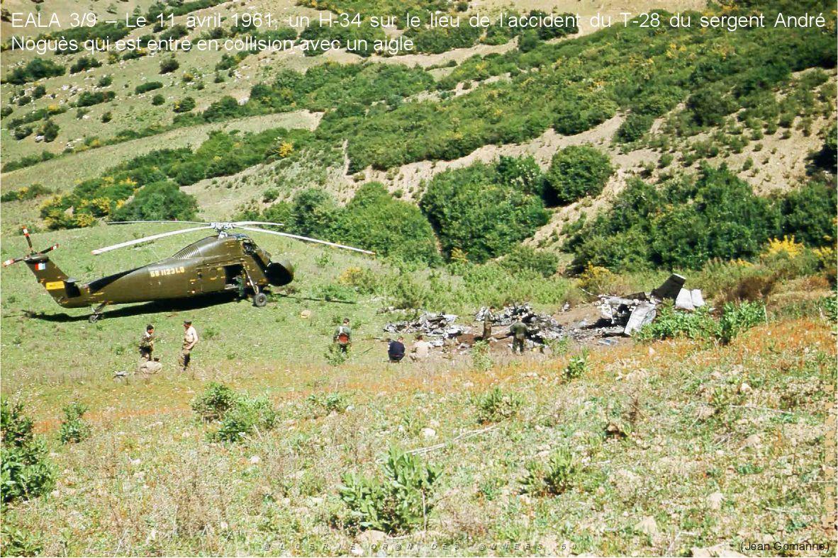 199- ARMEE DE L'AIR EN ALGERIE 1945-1962-47 (91).jpg